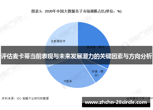评估麦卡蒂当前表现与未来发展潜力的关键因素与方向分析