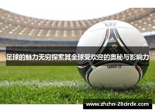 足球的魅力无穷探索其全球受欢迎的奥秘与影响力